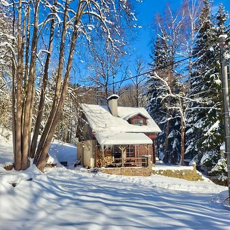 Srub V Bolkovskem Udoli Vila Rudník Exterior foto