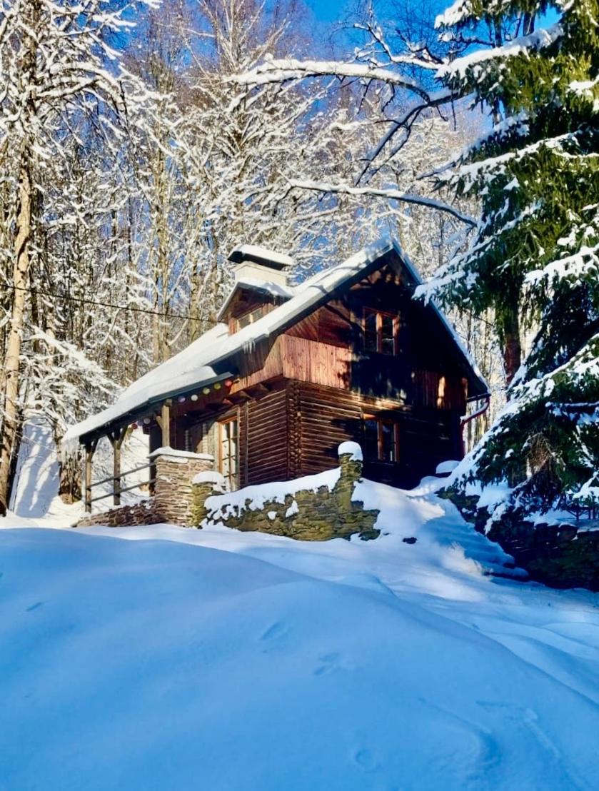 Srub V Bolkovskem Udoli Vila Rudník Exterior foto