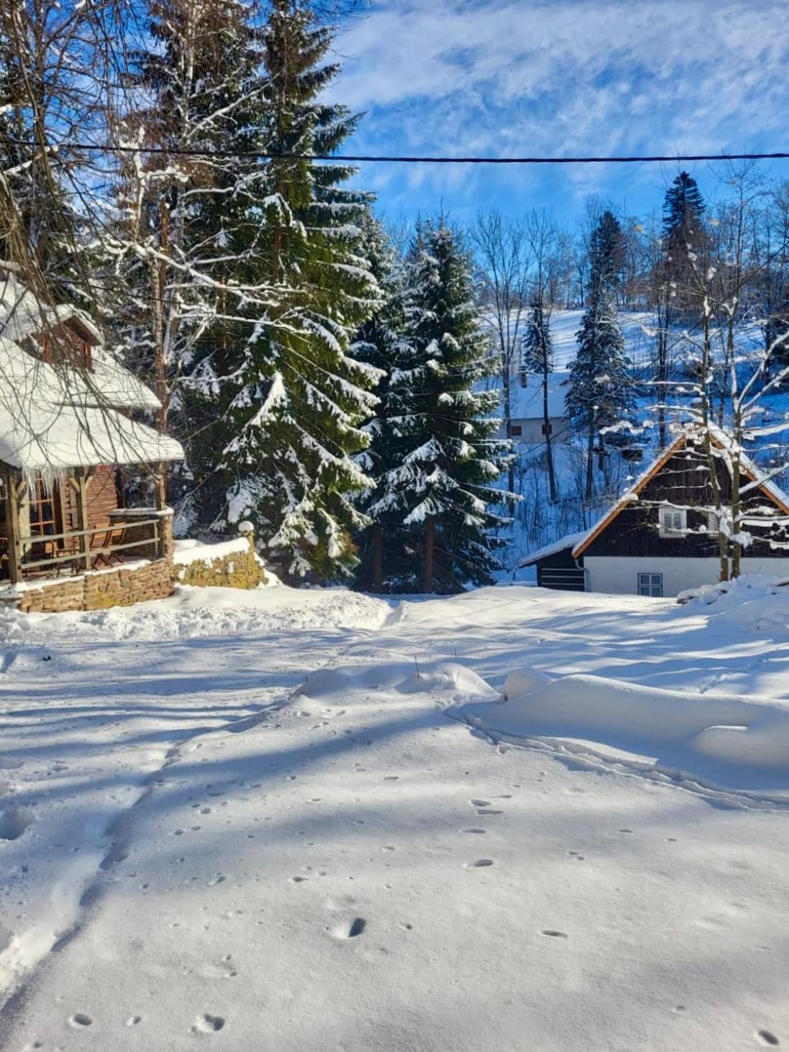 Srub V Bolkovskem Udoli Vila Rudník Exterior foto