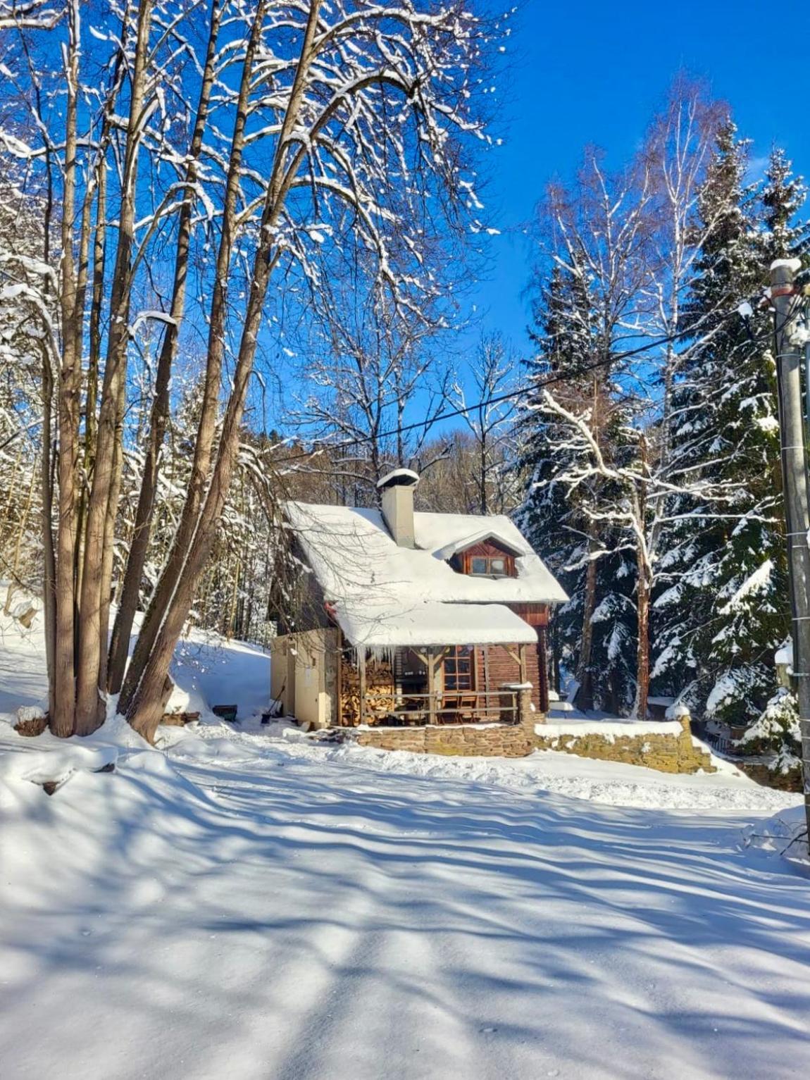 Srub V Bolkovskem Udoli Vila Rudník Exterior foto